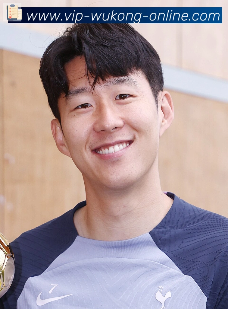 维尼修斯